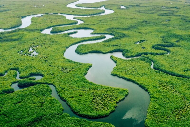 iso-14001-sdg-dqs-Ecosystem and Healthy Environment. Concepts and Nature Background. Tropical Rainfo
