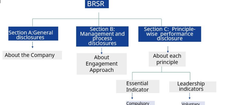 BSRS reporting framework