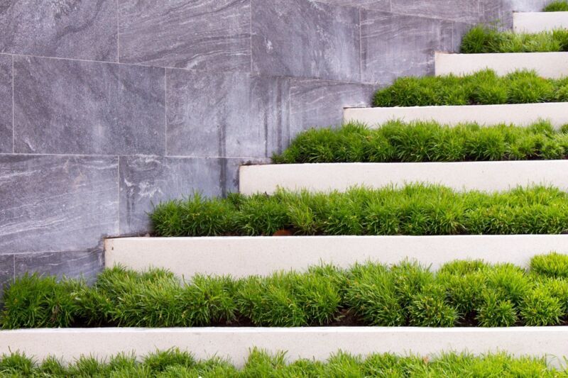 environment-header-blog-dqs-staircase consisting of white stones planted with green plants