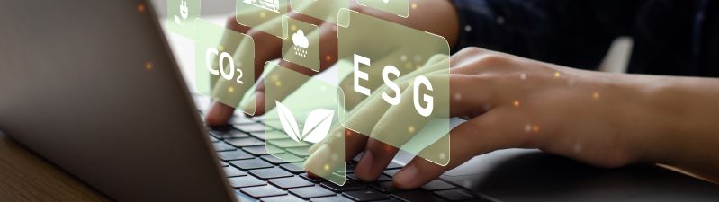 IFS ESG Check