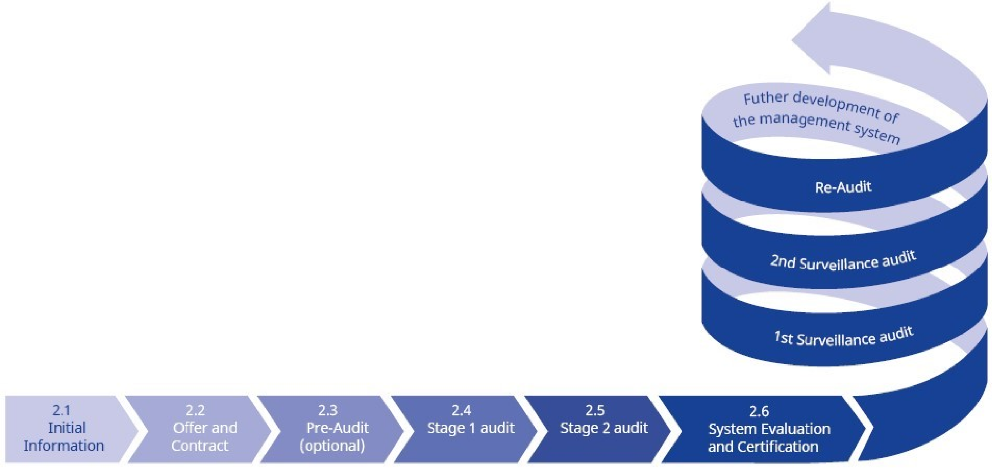 DQS Audit Process