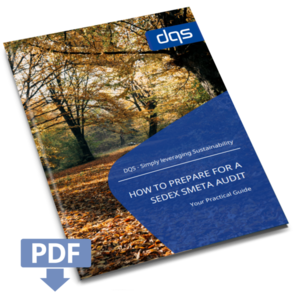 Sedex Whitepaper Vorschaubild English