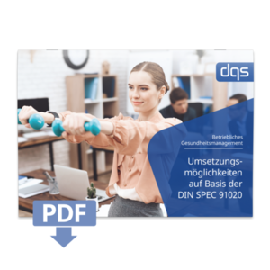 Cover sheet for German whitepaper DIN SPEC 91020  with pdf 