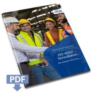 Cover sheet for German whitepaper ISO 45001 consultation with pdf