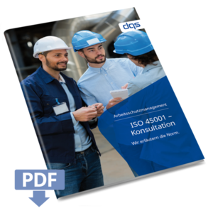 Cover sheet for German whitepaper ISO 45001 consultation with pdf