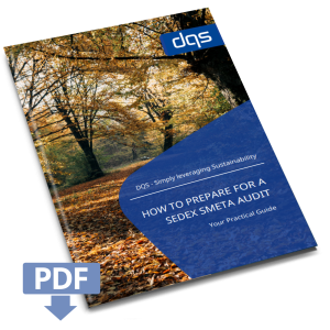 Sedex Whitepaper Vorschaubild English